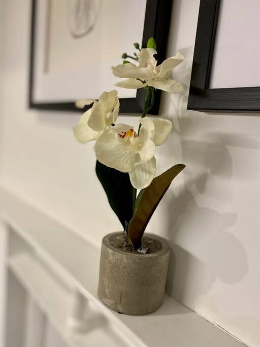 Victoria Street Apartment Sleeps 2 ลิเวอร์พูล ภายนอก รูปภาพ